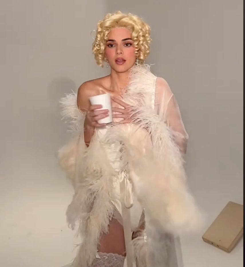 Kendall and kylie halloween costumes hot sale